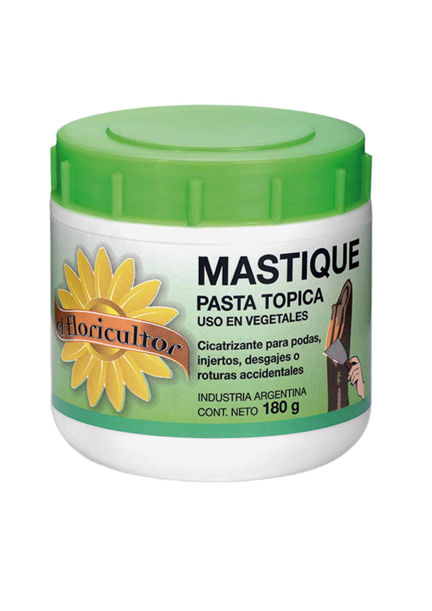 Mastique pasta x 180grs